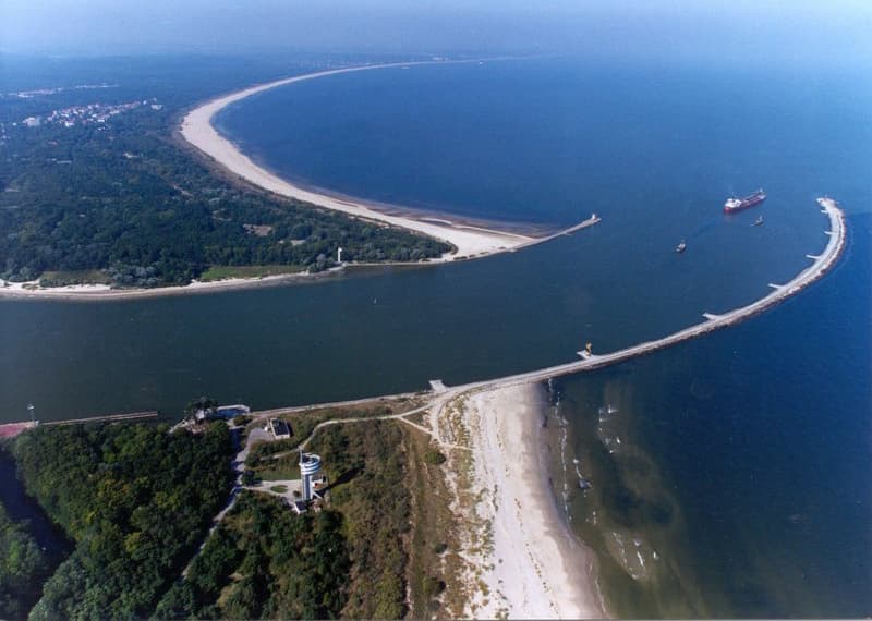 Świna