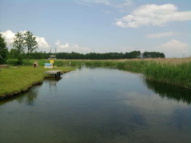 Zdjęcie Czarna Hańcza