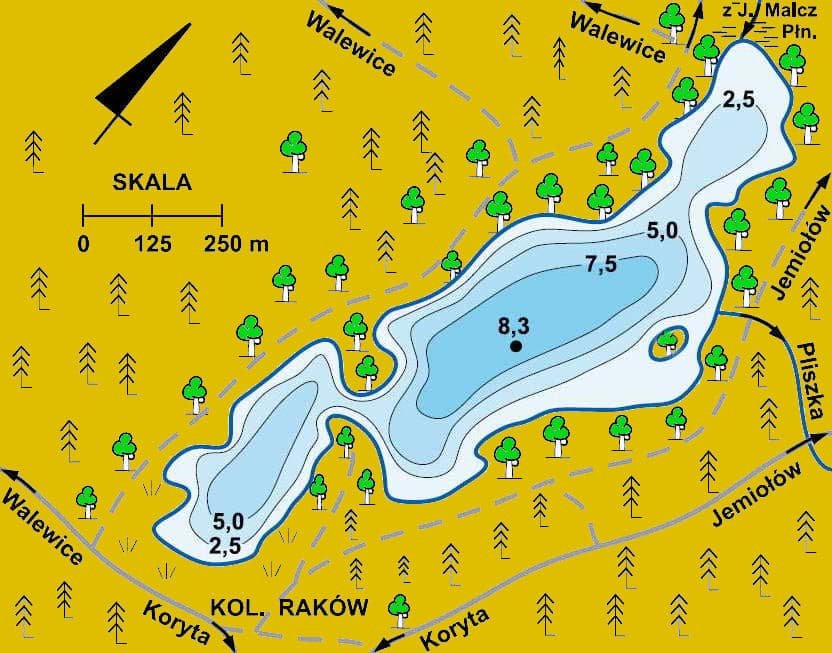 Malcz Południowy