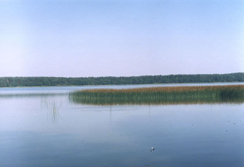 Zdjęcie Mokre