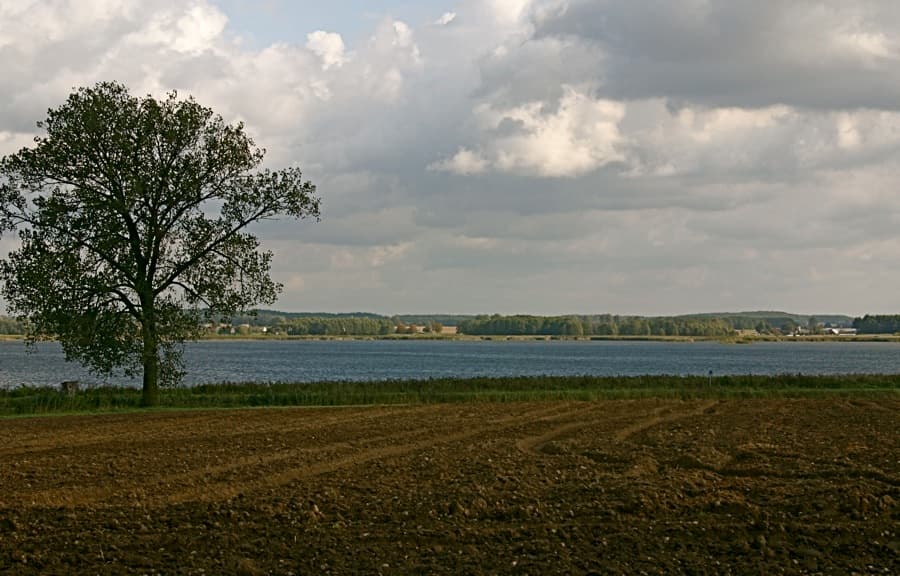 Zdjęcie Zygmunta Augusta