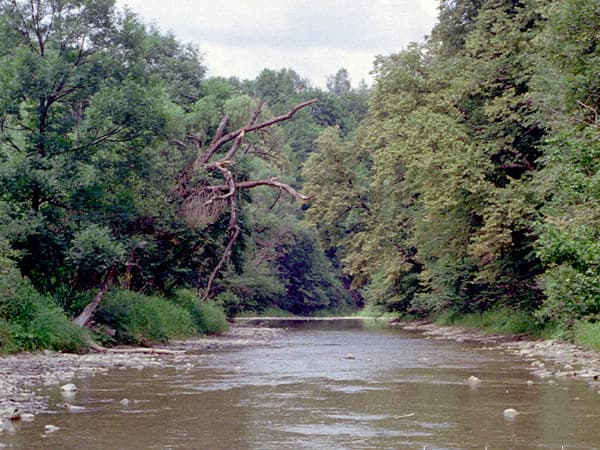 Zdjęcie Wisłok
