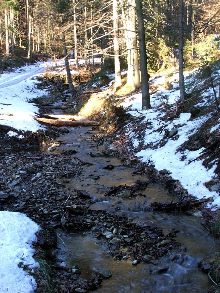Lewa Widełka