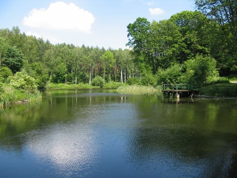 Zdjęcie Liwa