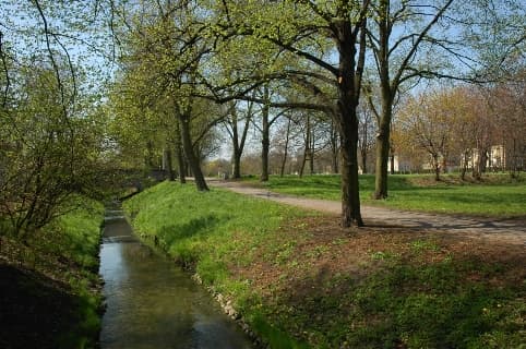 Ostropka