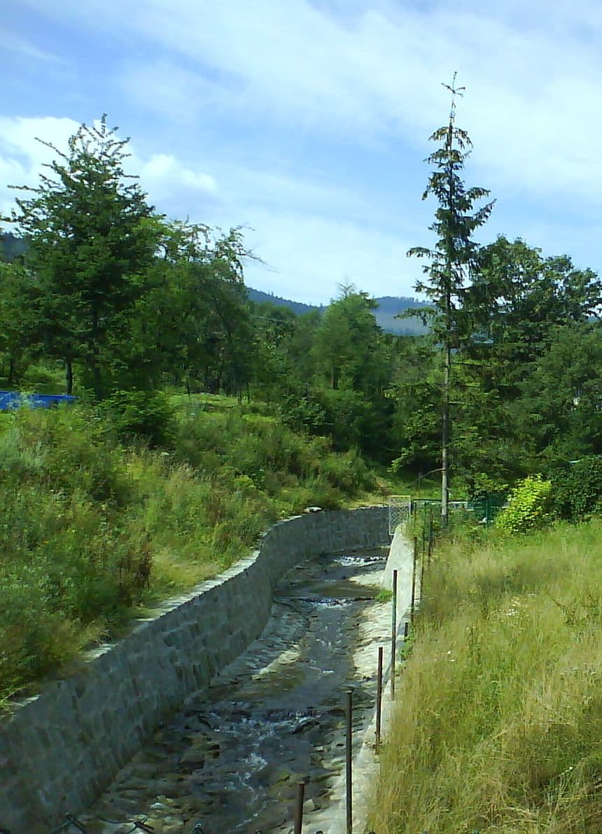 Wieśnik (dopływ Soły)