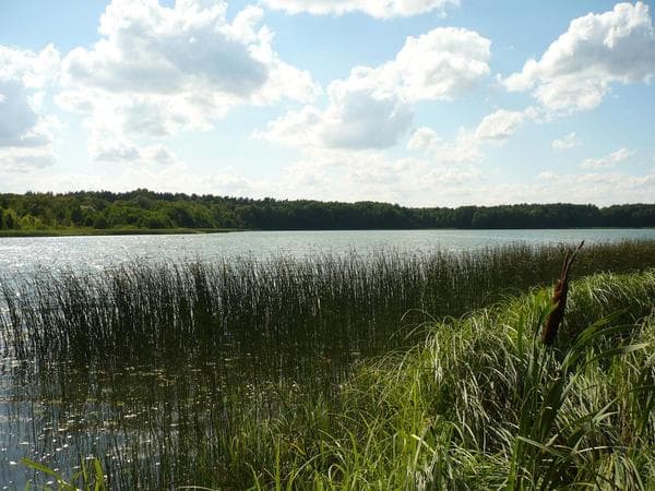 Jezioro Radyszyńskie