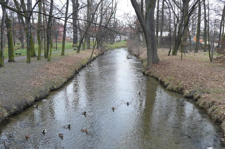 Zdjęcie Zimnica