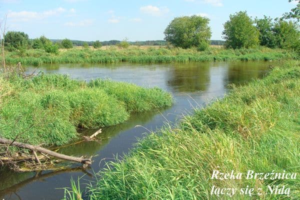 Zdjęcie Brzeźnica