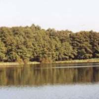 Zdjęcie Jezioro Lidzbarskie