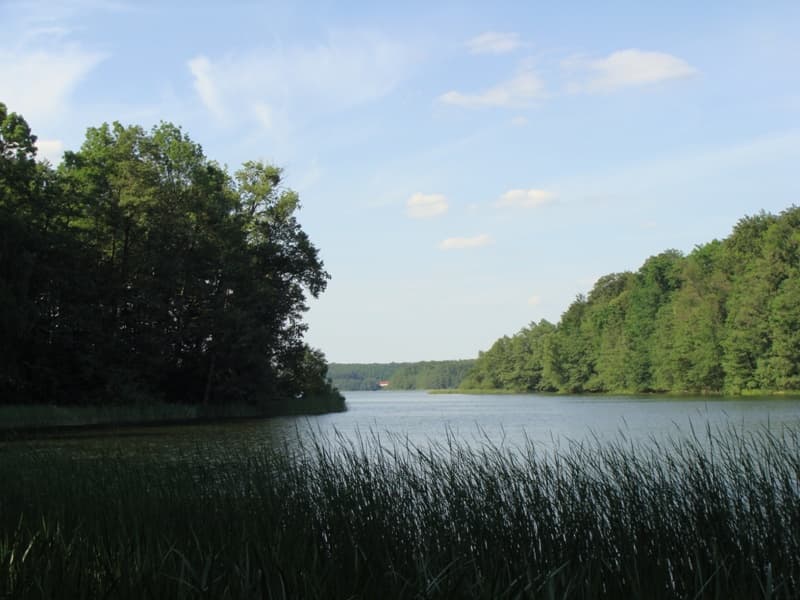Jezioro Kucki