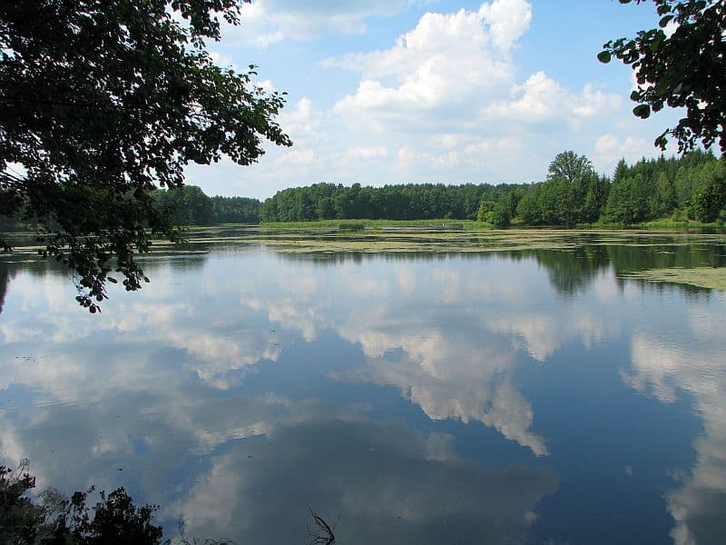 Jezioro Dobrzyckie