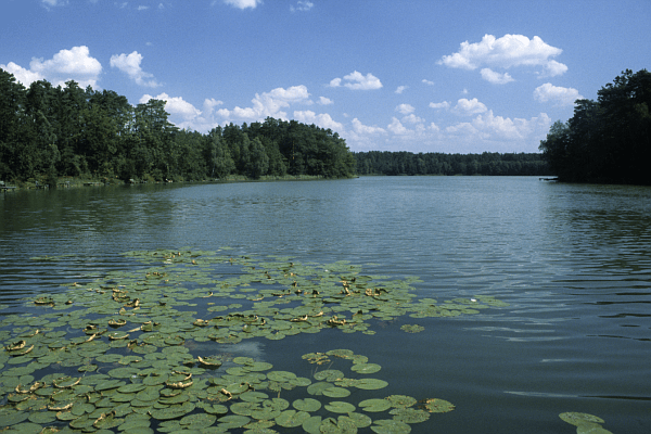 Jezioro Rzepsko