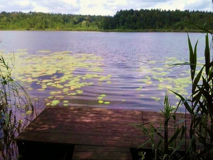 Zdjęcie Bolechowskie