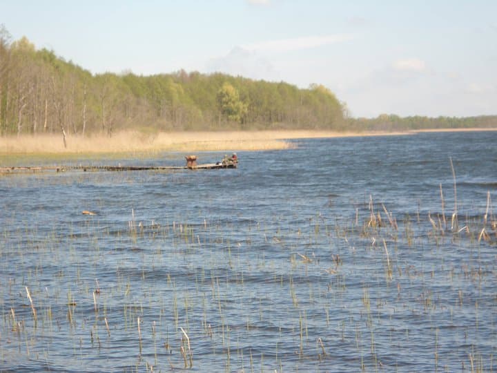 Woświn