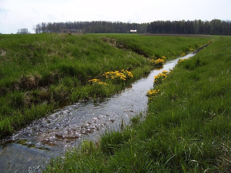 Pełta