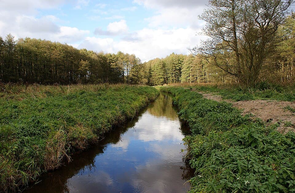 Wołcza (rzeka)