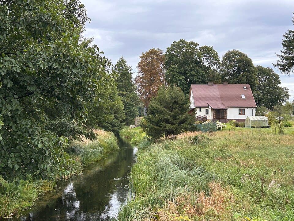 Biała (dopływ Czernicy)