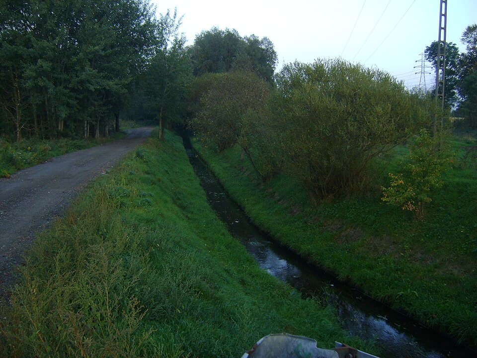 Baczyna