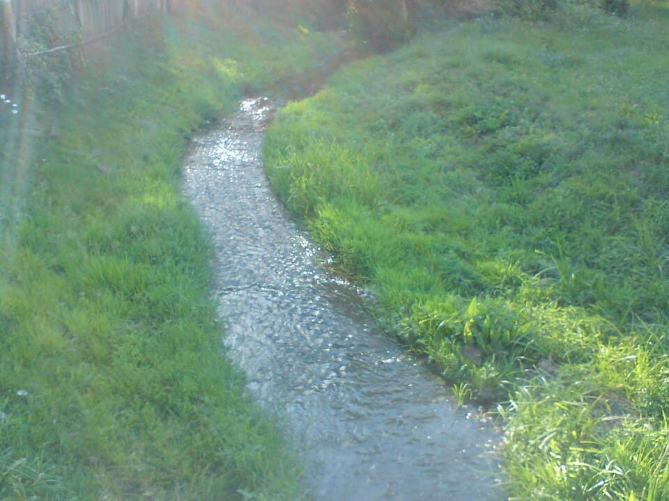 Samionka
