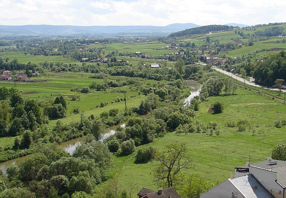 Zdjęcie Ropa