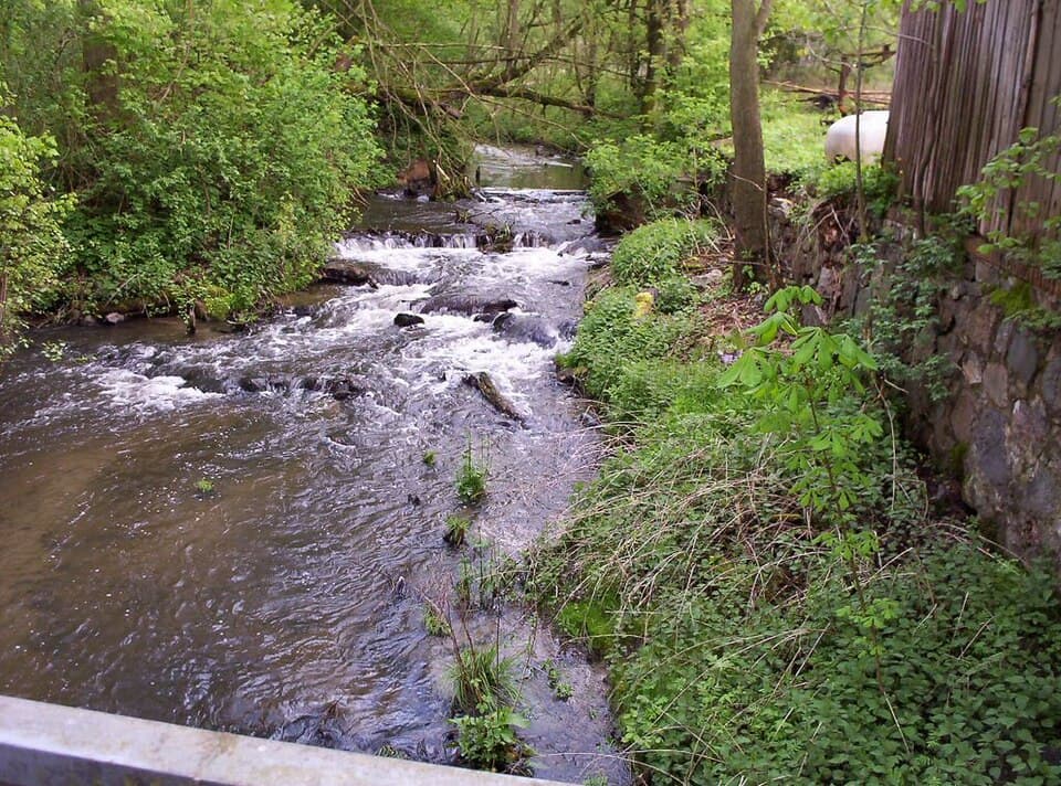 Staw Płonia