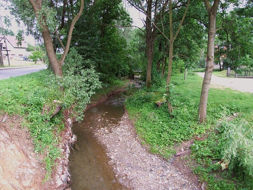 Zdjęcie Uszwica