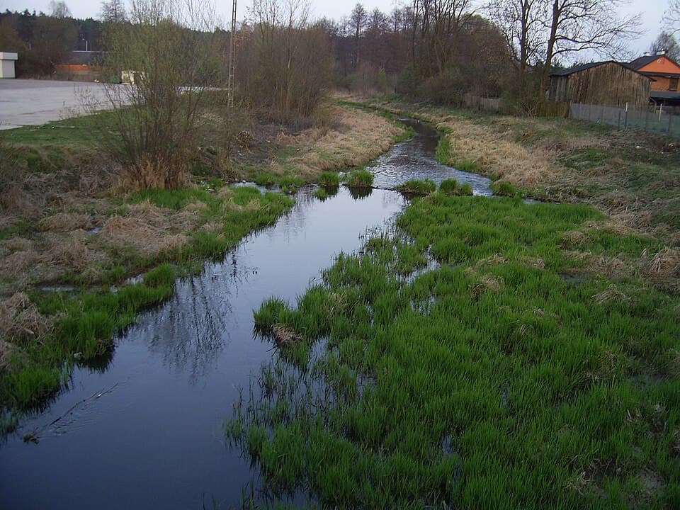 Zdjęcie Mogielanka