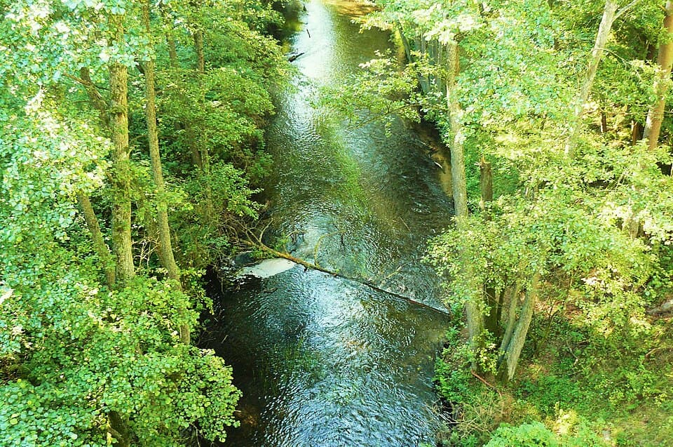 Rurzyca (dopływ Gwdy)