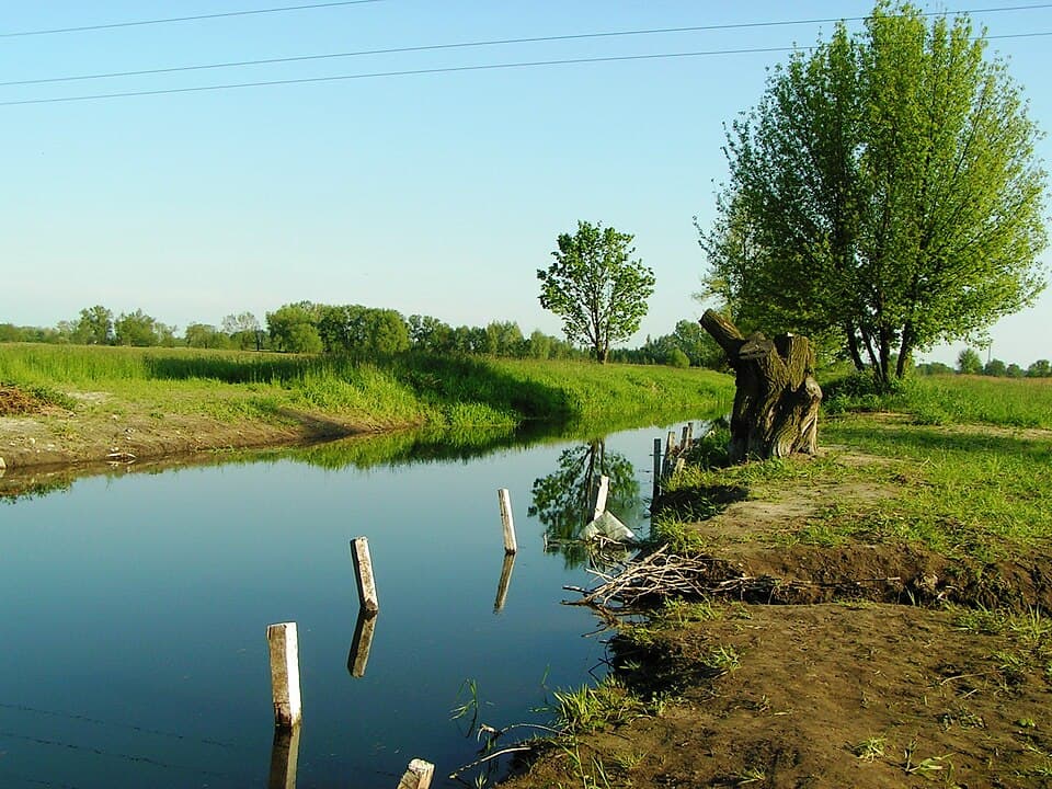 Zdjęcie Rzeka Rgilewka