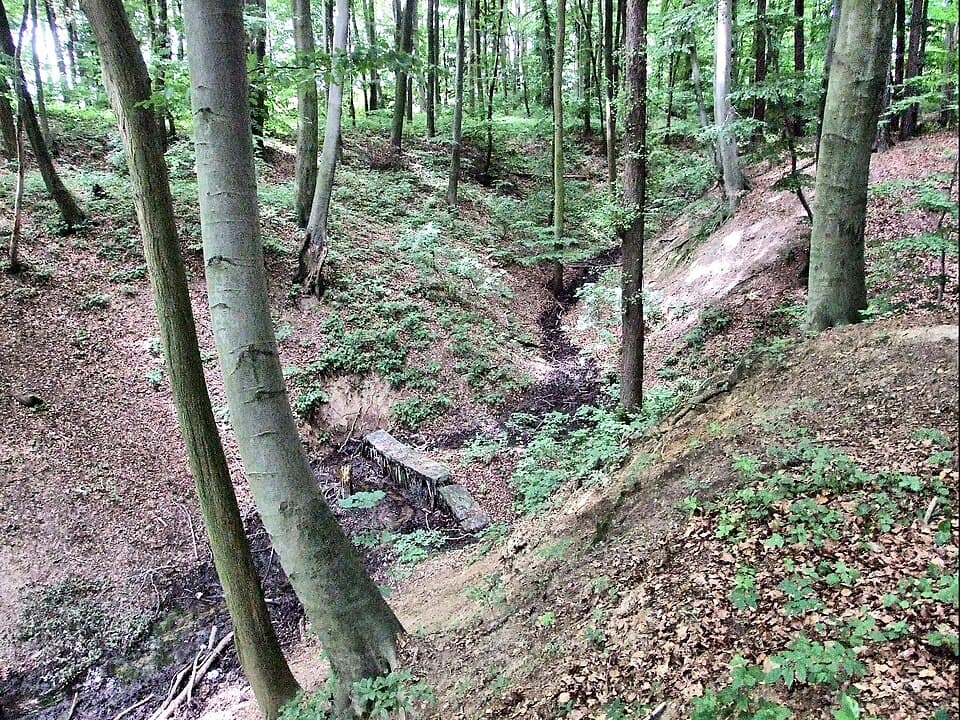 Osiniec (strumień)