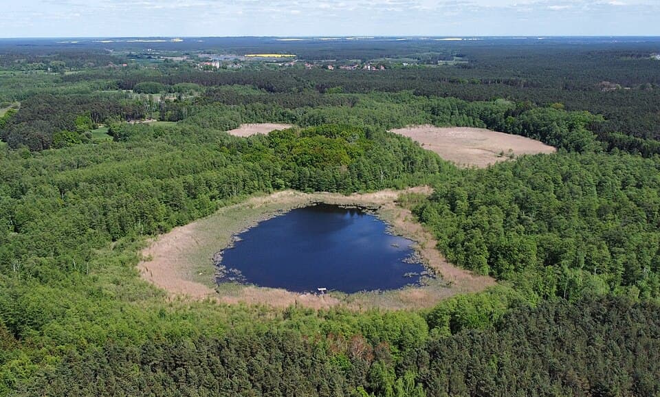 Zdjęcie Czarne