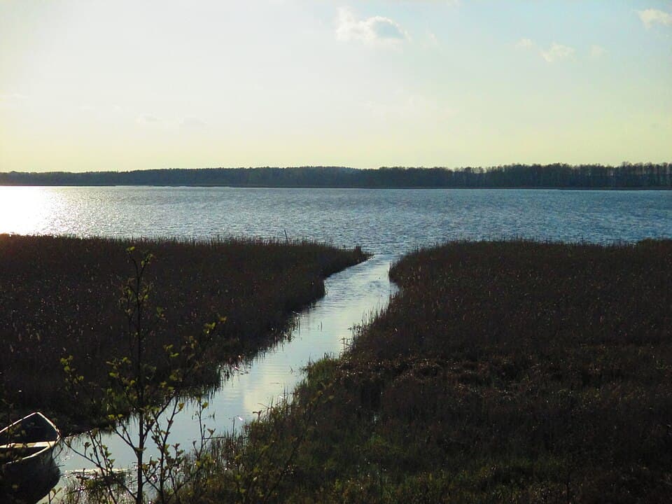 Kolno
