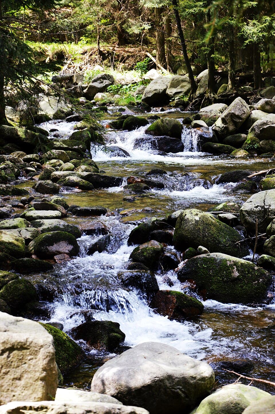Zdjęcie basen zewnętrzny