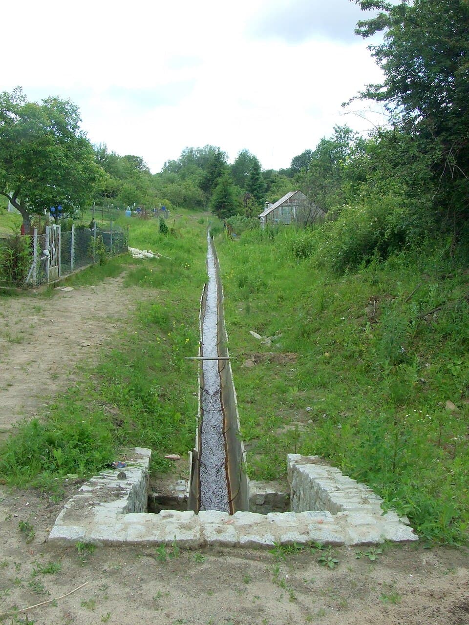 Sienniczka