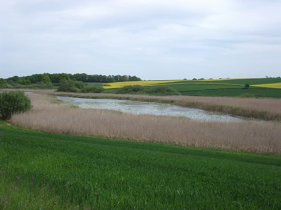 Nogat (jezioro)