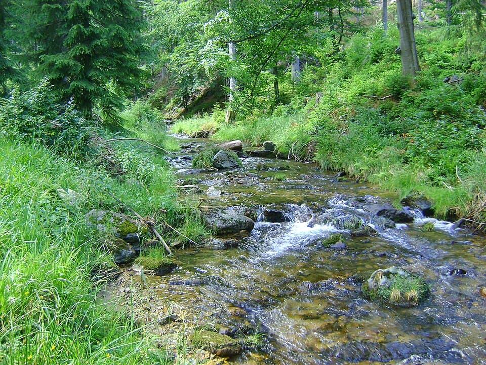 Bielawka