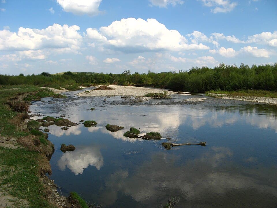 Zdjęcie Wiar