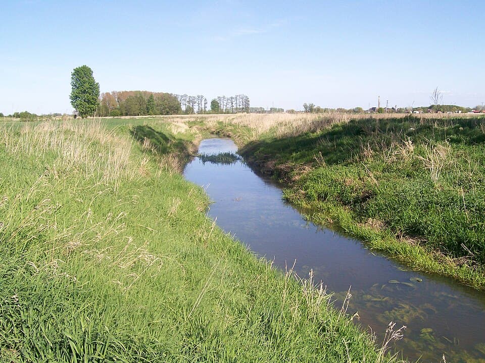 Pyszna