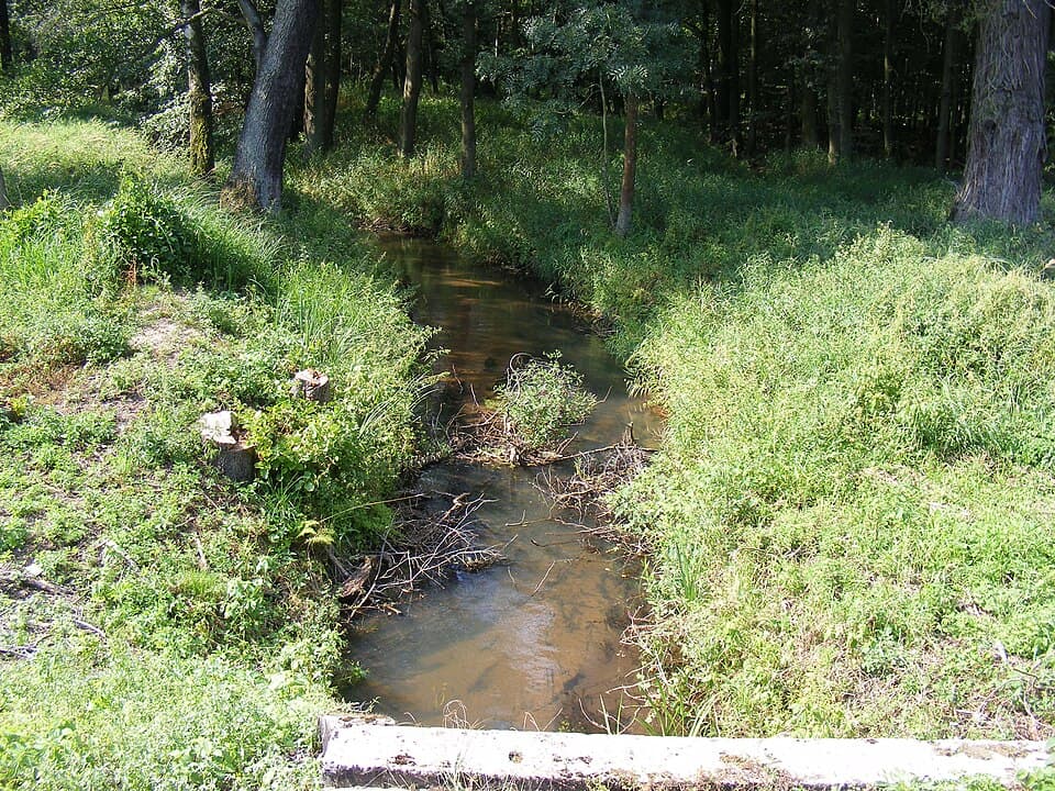 Bogacica (rzeka)