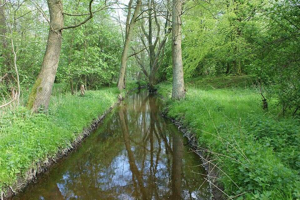 Liwka