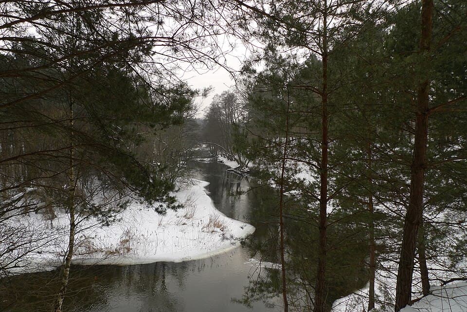 Wełna (rzeka)