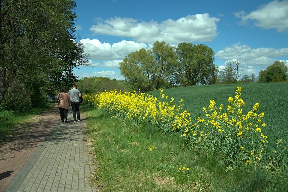 Jezioro Suskie