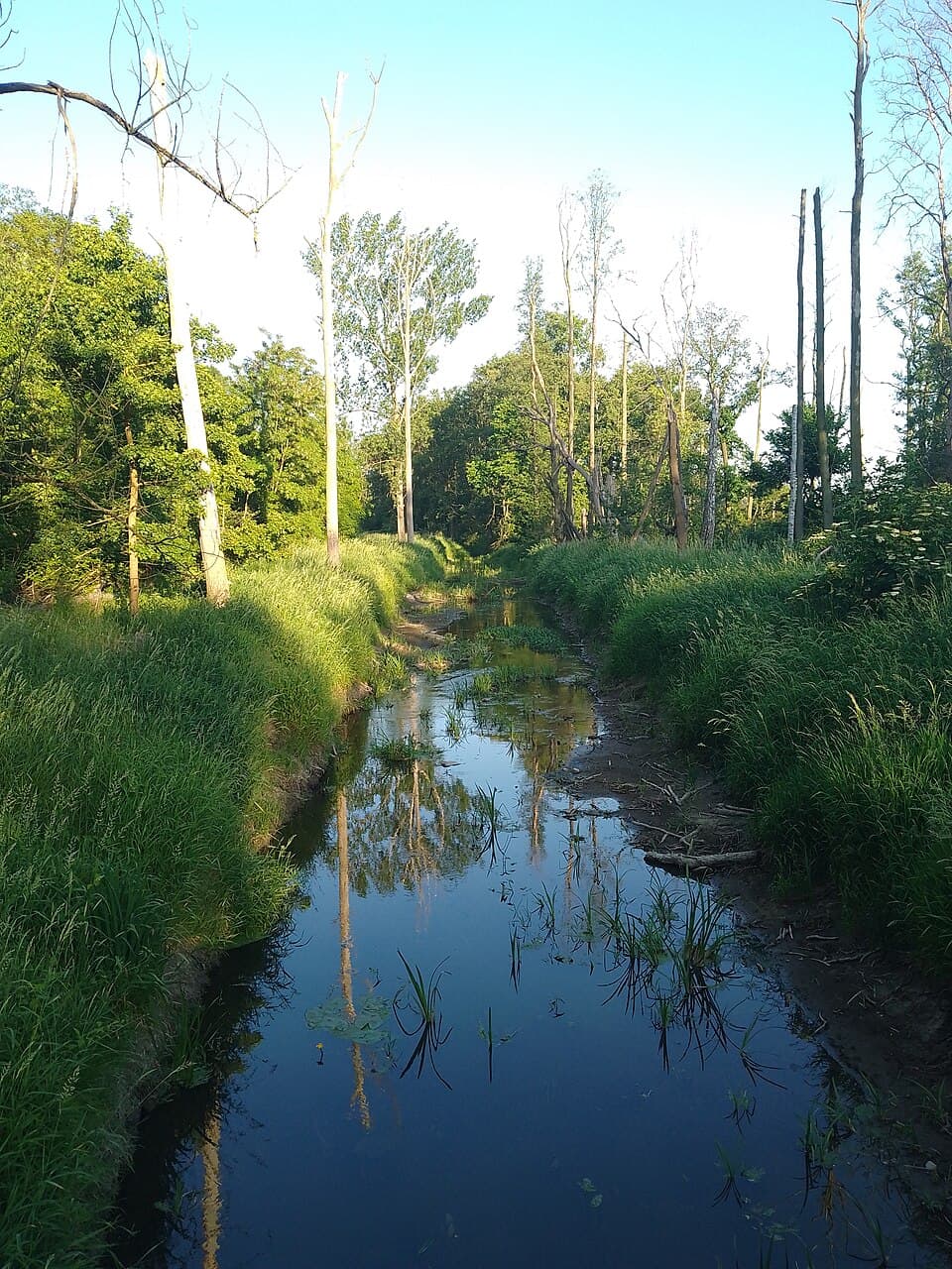 Mogilnica