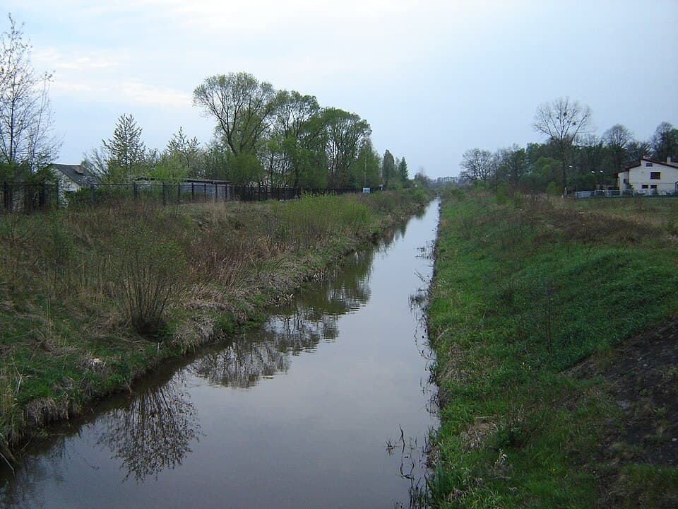 Konopka