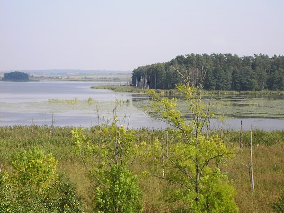 Jezioro Oświn