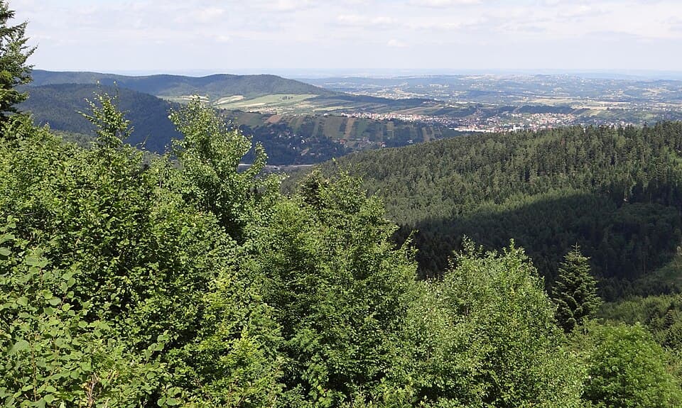 Kobylak