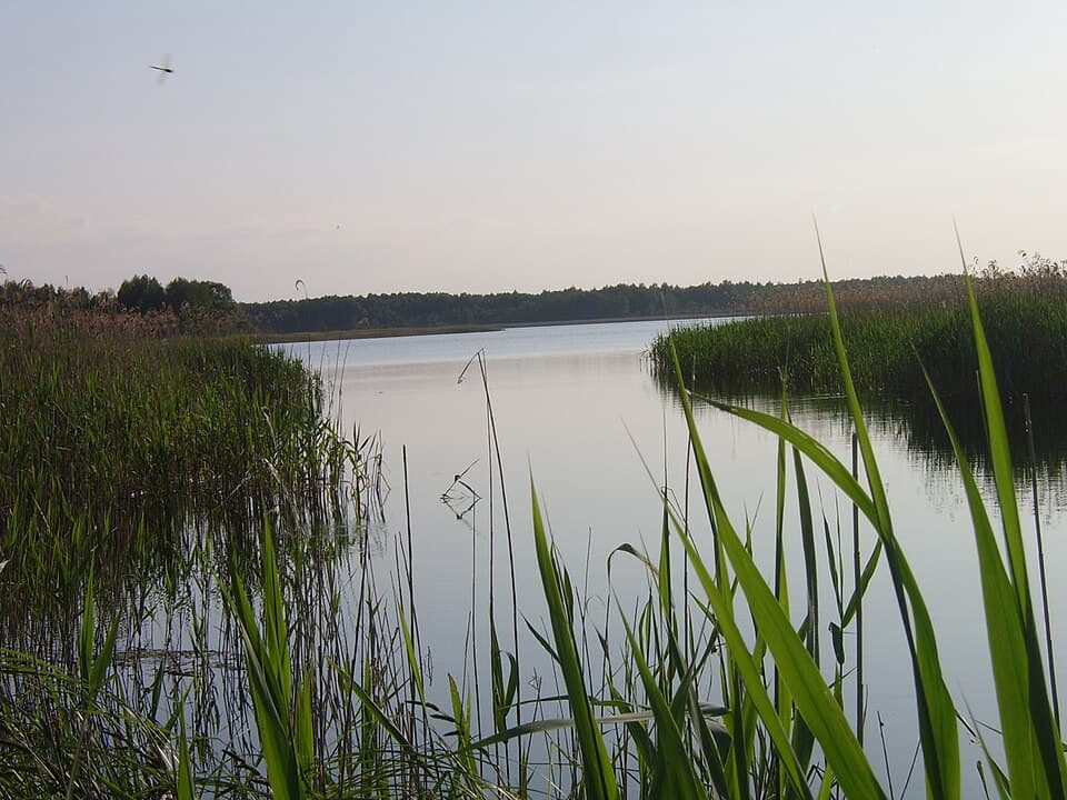 Białoławka