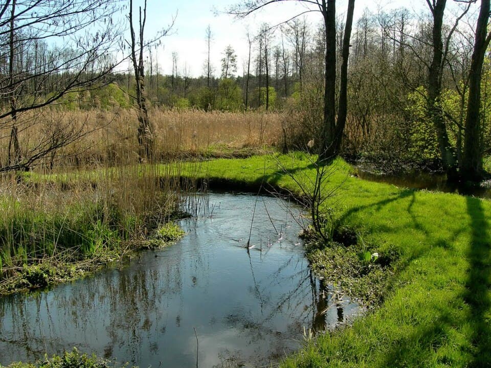 Zdjęcie Pacynka
