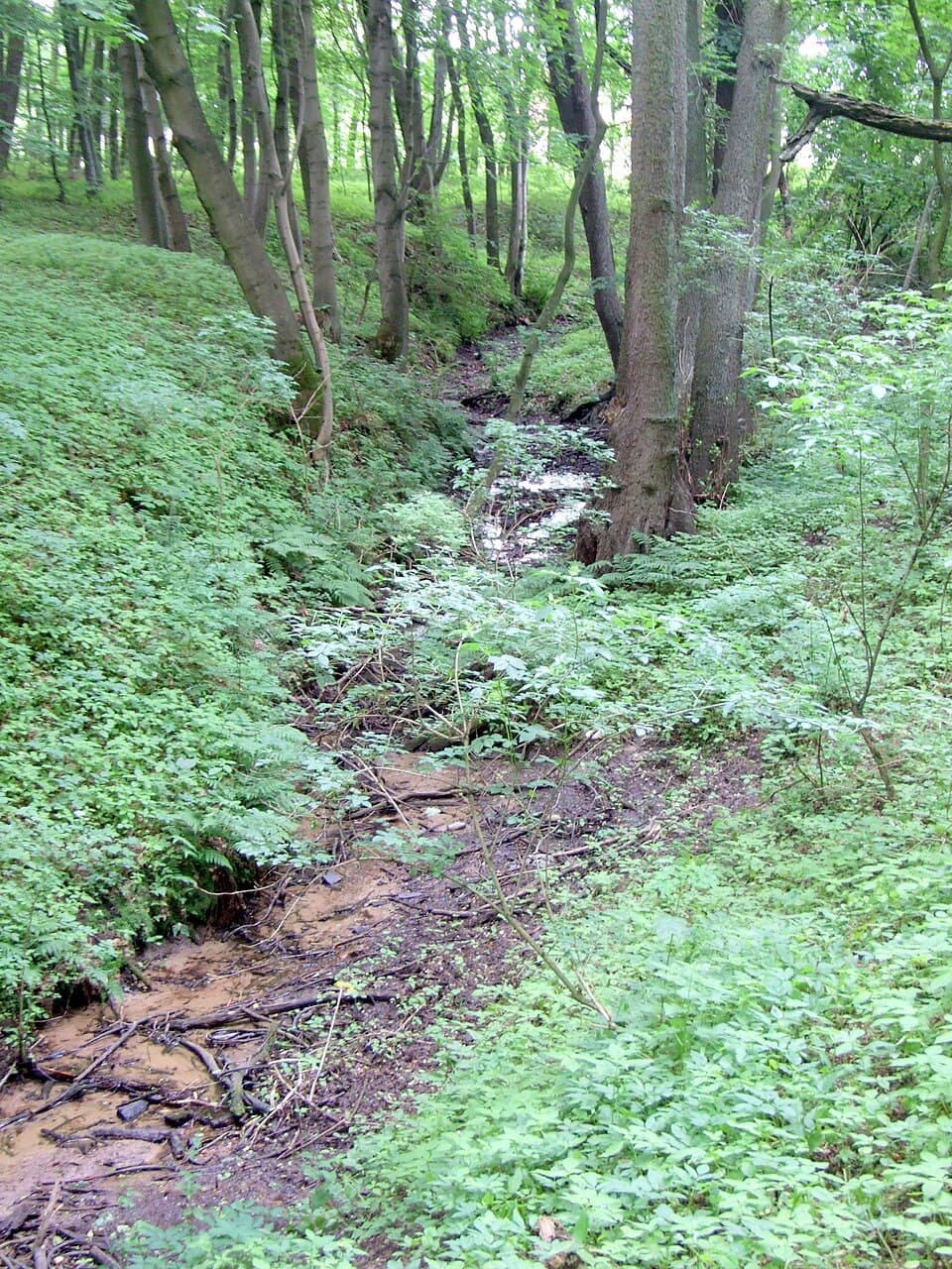 Kijanka (strumień)